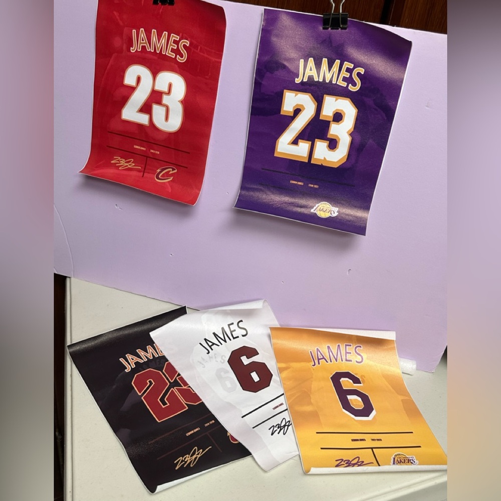 LeBron James Los Angeles Lakers 5 unframed vinyl poster printed